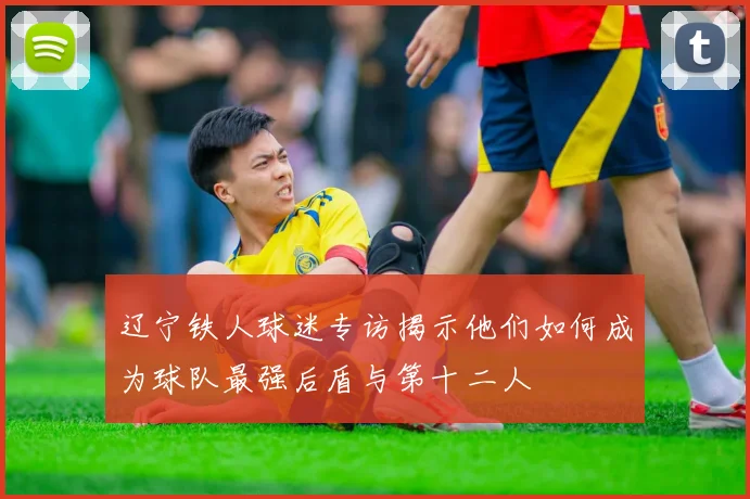 辽宁铁人球迷专访揭示他们如何成为球队最强后盾与第十二人